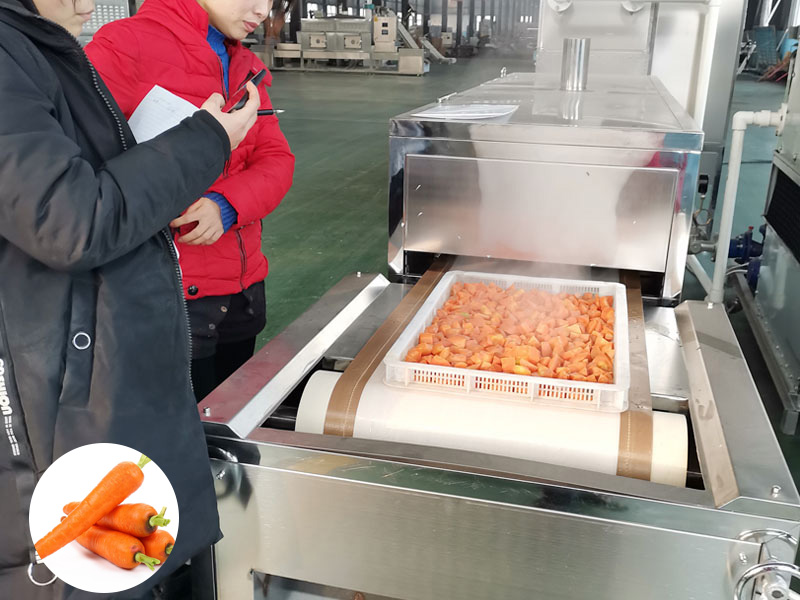休閑食品微波設備